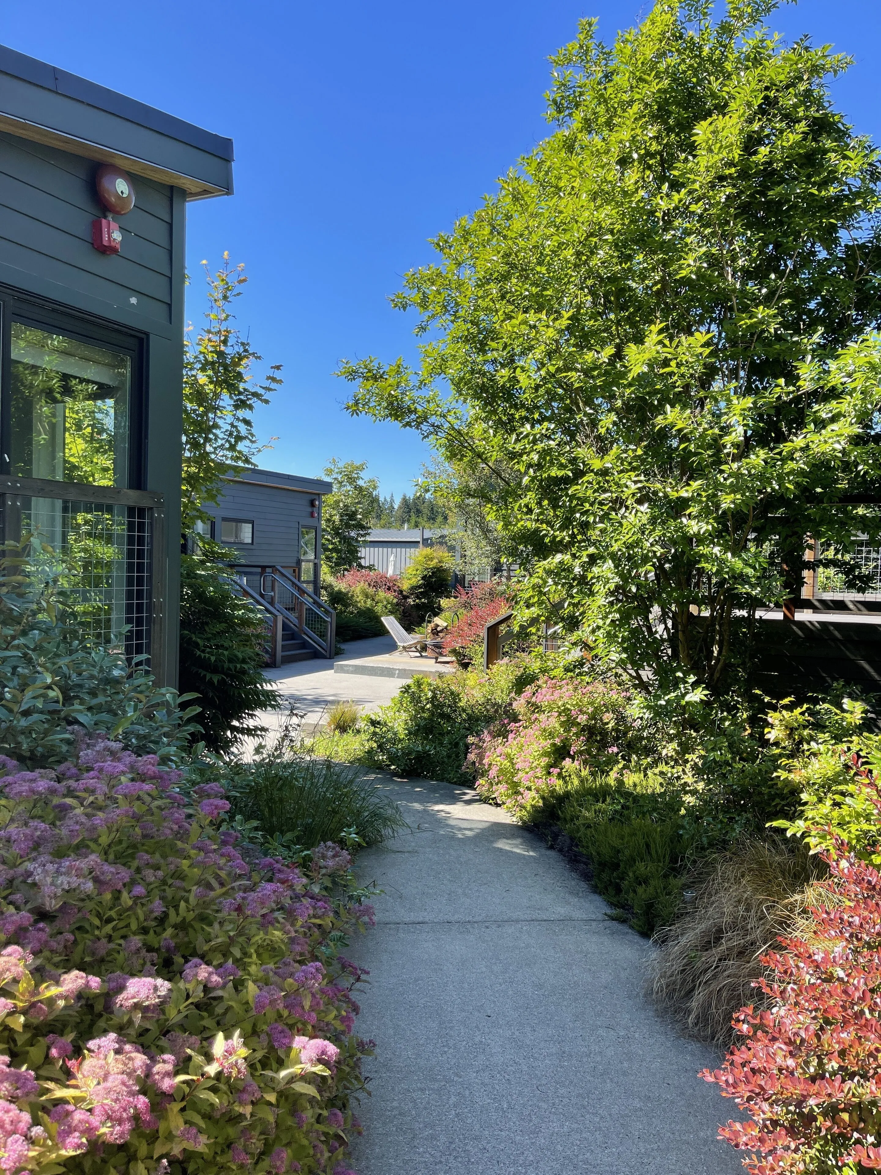 The Lodges on Vashon — photo 2