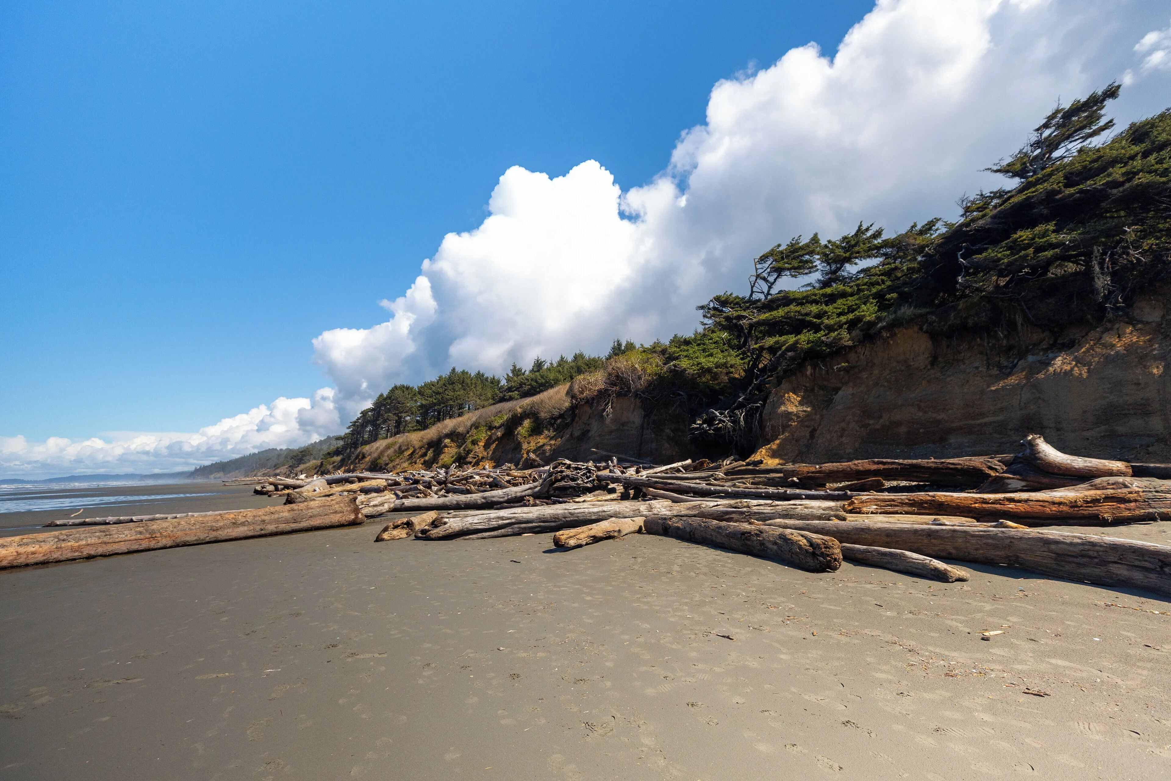 Kalaloch Lodge — photo 3