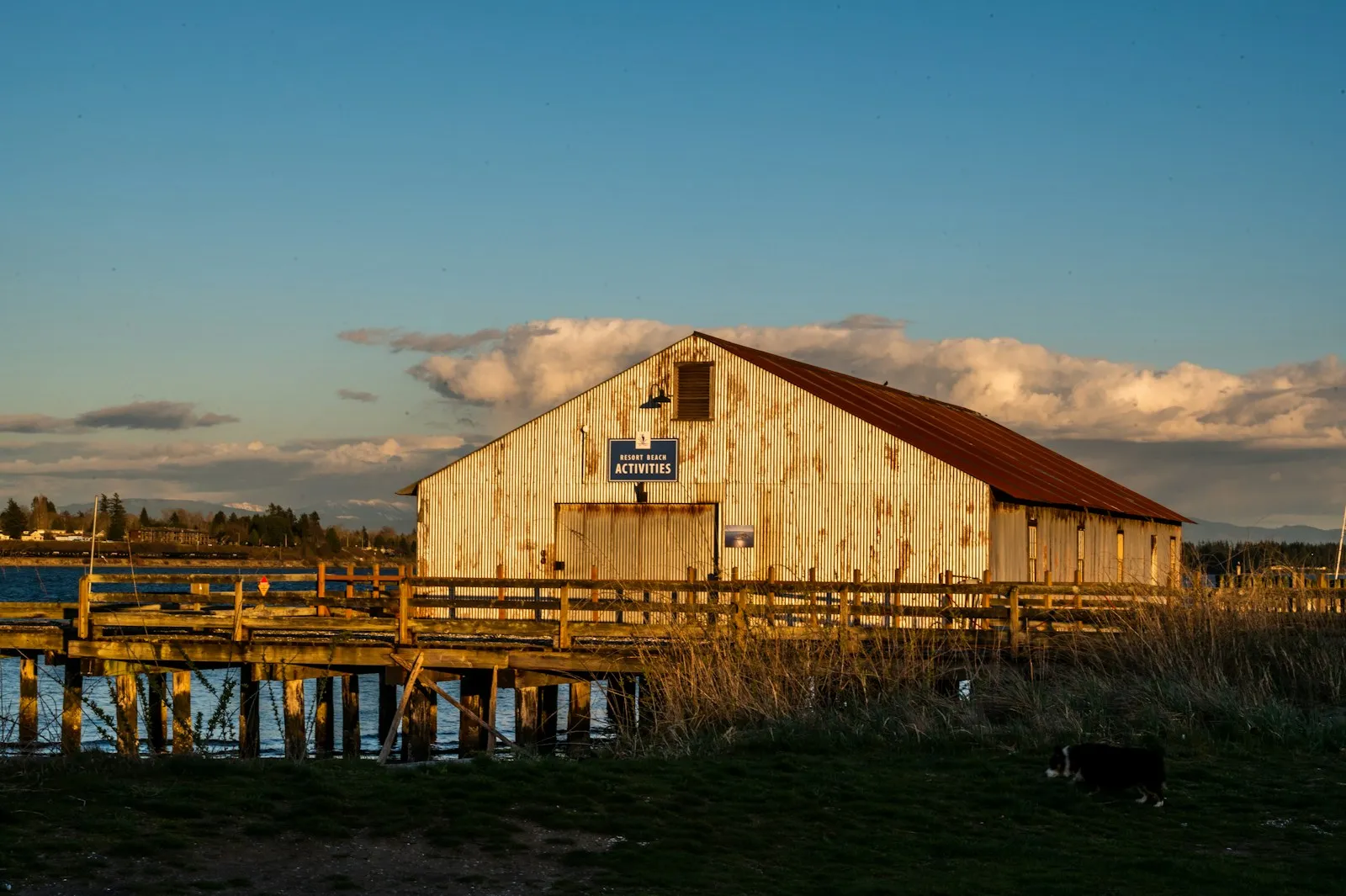 Brown wooden house on a green grass field in Blaine, Washington.