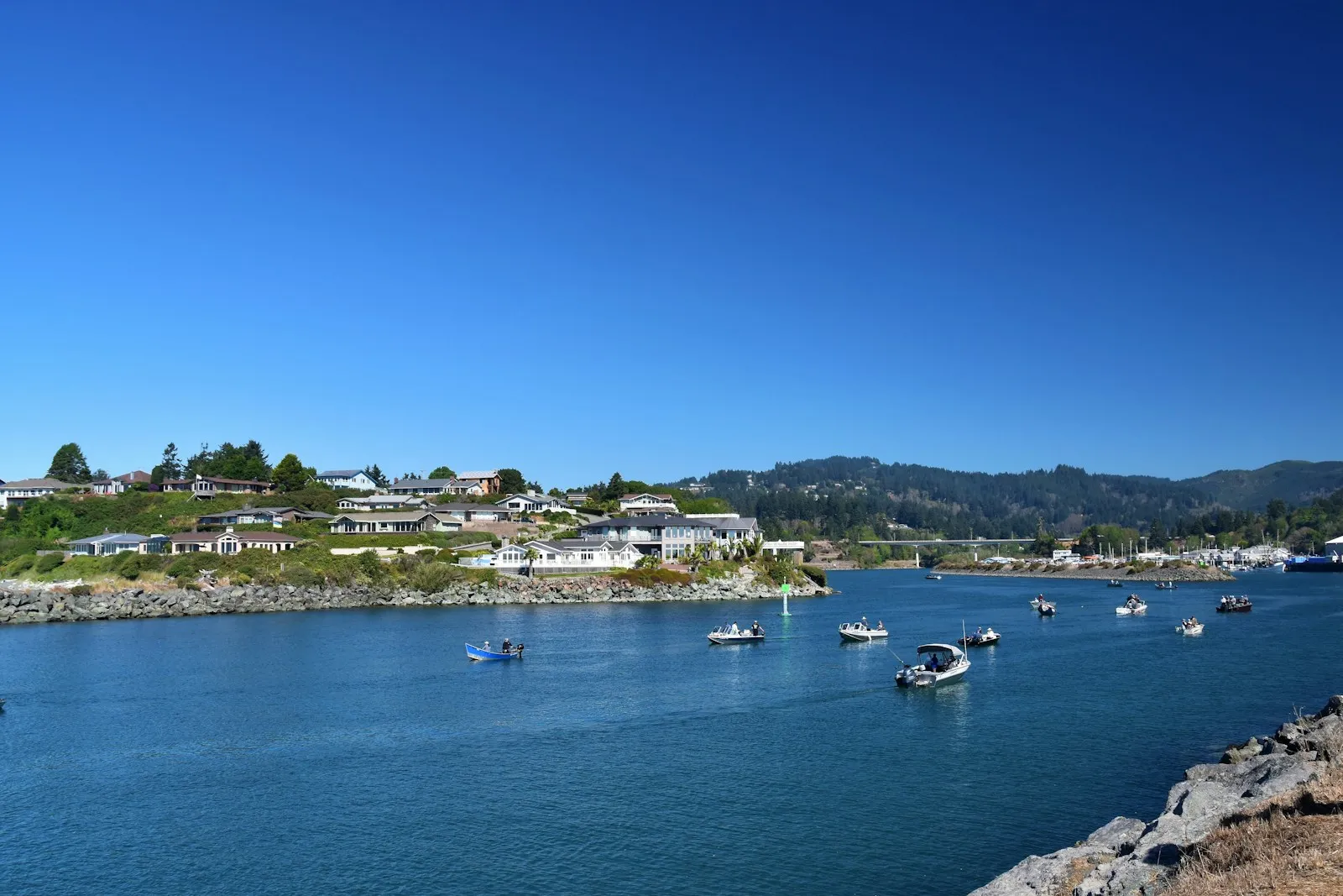 Boats moored in a harbor with houses on the hillside in Brookings, Oregon.