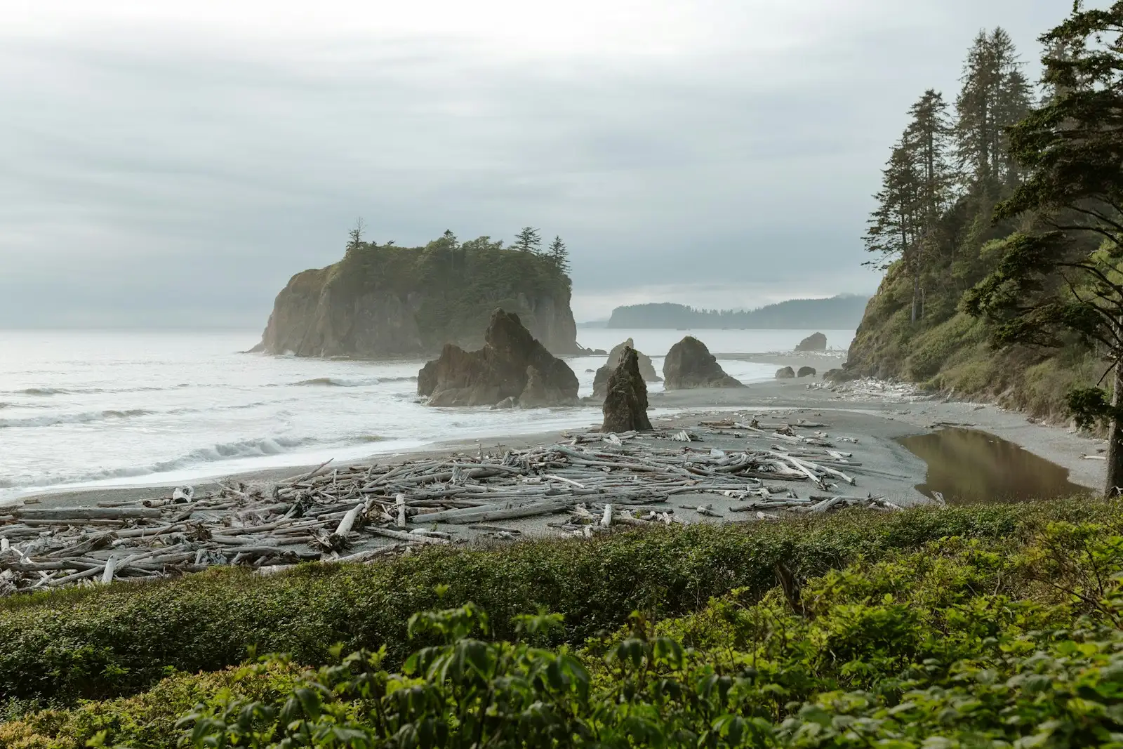 Sea stacks and piled driftwood on a misty beach on the Washington Coast.